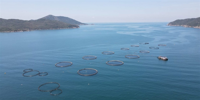 aqua farm viet