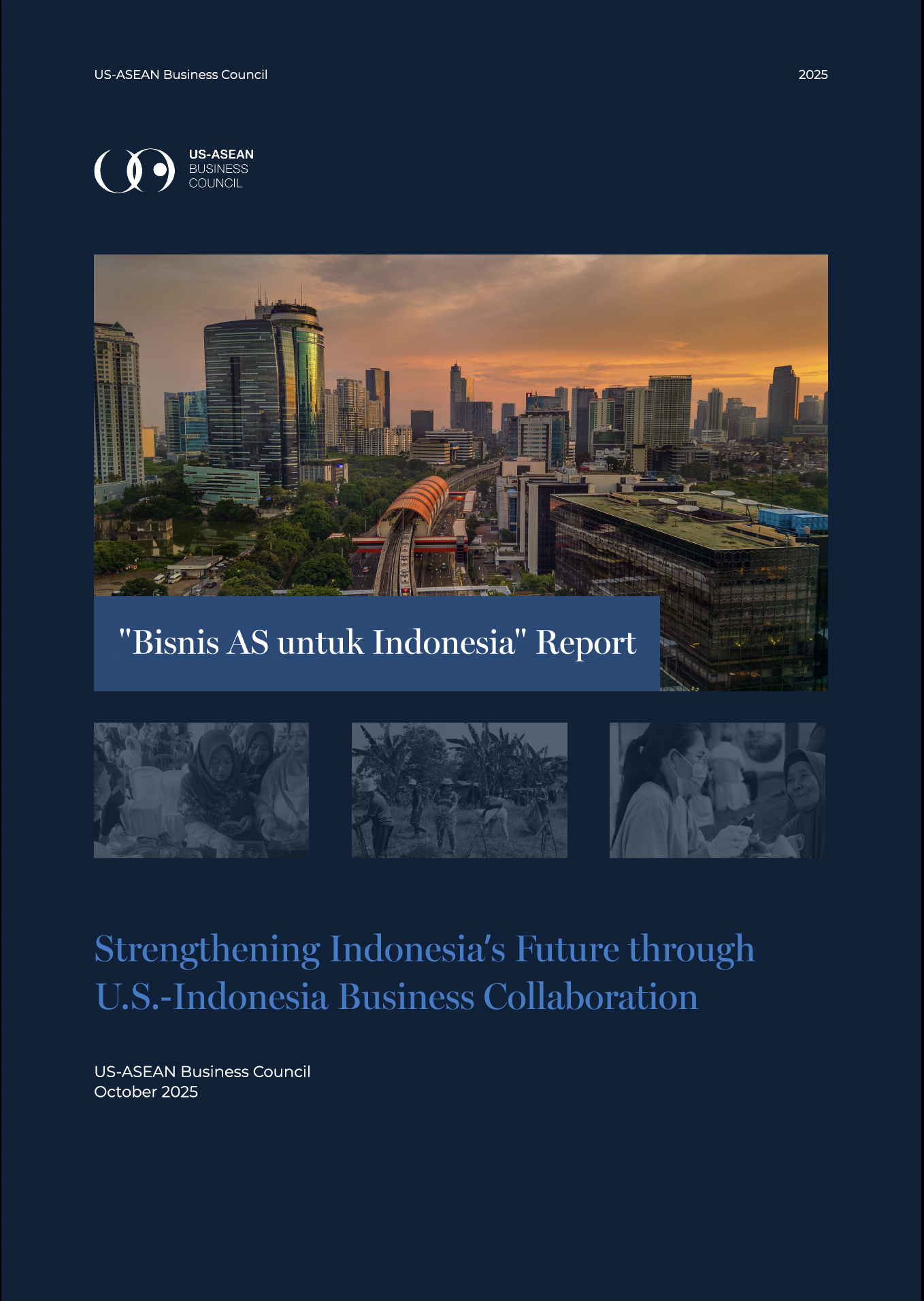 BISA Report Cover ENG