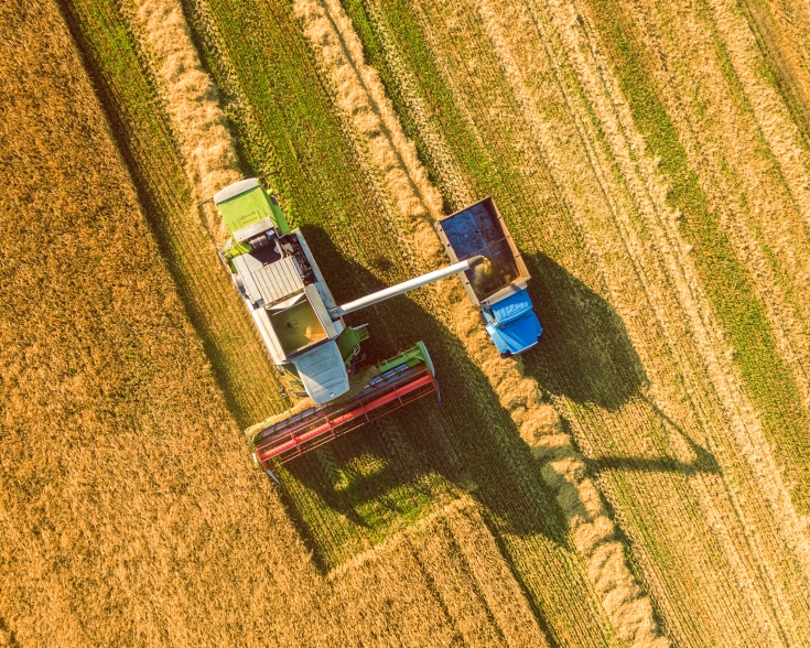 farmer field